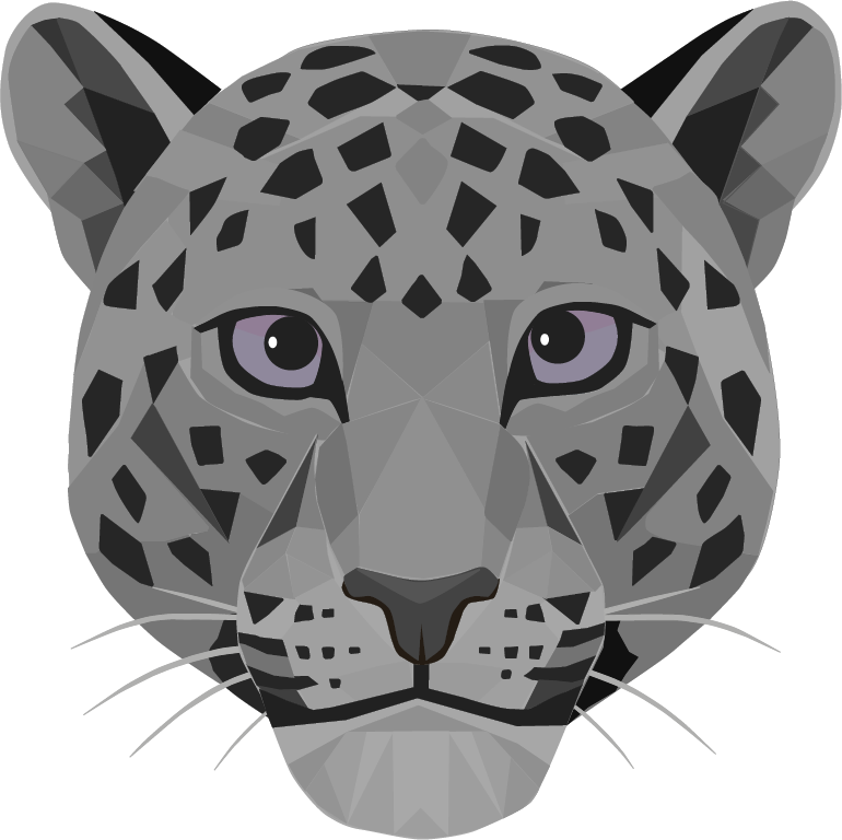 Jaro, BoxBeat's grayscale polygonal jaguar training companion.
